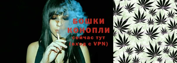 ГАЛЛЮЦИНОГЕННЫЕ ГРИБЫ Медногорск