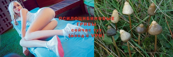 бошки Мегион