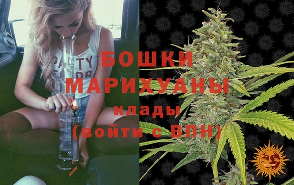 ГАЛЛЮЦИНОГЕННЫЕ ГРИБЫ Медногорск