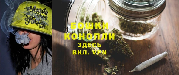 бошки Мегион