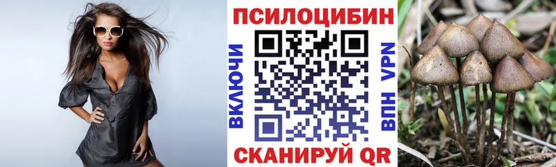 Купить где  Сретенск  Галлюциногенные грибы мухоморы 